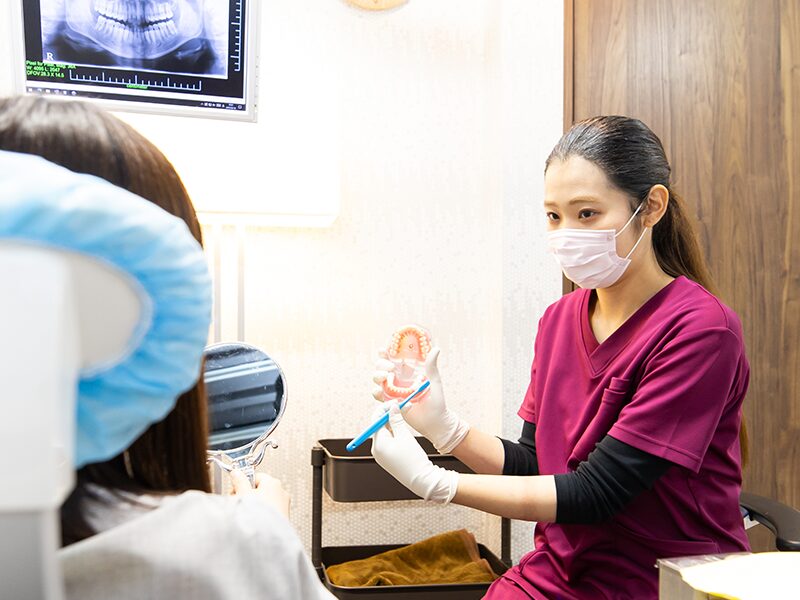 ブラッシング指導